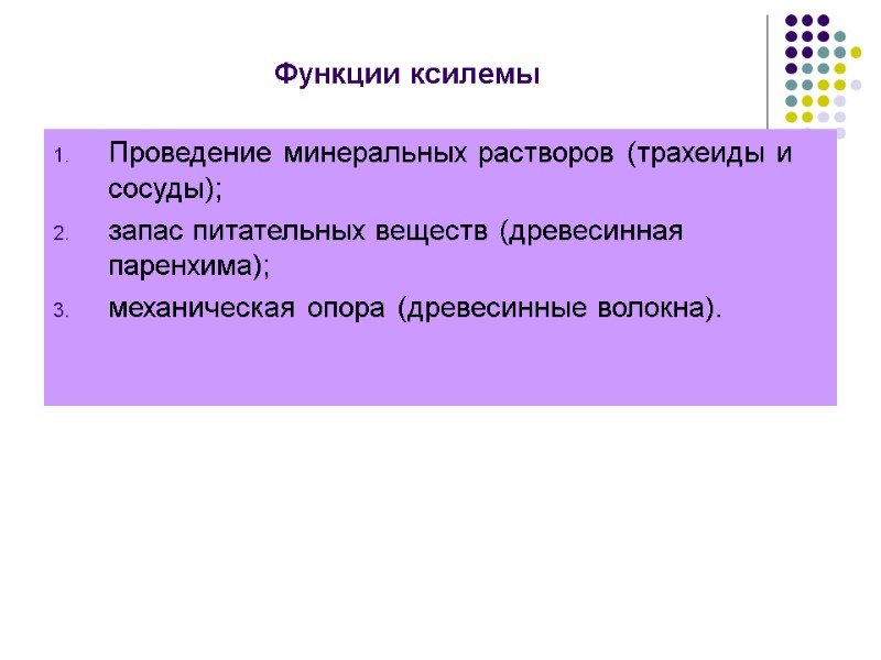 Функции ксилемы Проведение минеральных растворов (трахеиды и сосуды); запас питательных веществ (древесинная паренхима); механическая